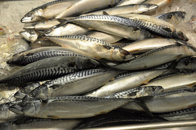 PSP de Ovar deteve peixeiro ambulante por vender peixe impróprio para consumo PSP de Ovar deteve peixeiro ambulante por vender peixe impróprio para consumo