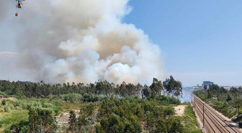 Incêndio rural em zona sensível obrigou ao condicionamento da circulação ferroviária